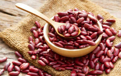 All you need to know about Rajma